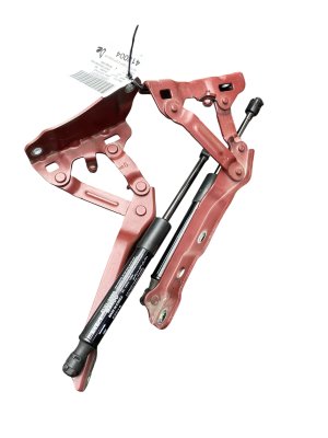 2020-2025 Kia Telluride Hood Hinge Set - Front, Right (Passenger) (Used OEM)