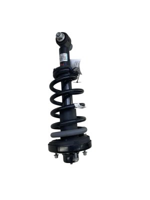 2025 Lincoln Navigator Suspension Strut and Shock Absorber - Rear, Left (Driver) (Used OEM)
