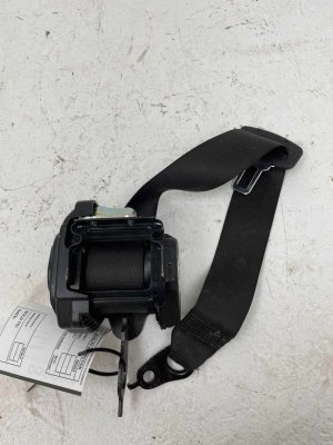 2018-2023 BMW M5 Seat Belt Assembly - Rear, Right (Passenger) (Used OEM)