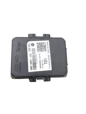2020-2025 Hyundai Palisade Authentication Control Module (Used OEM)