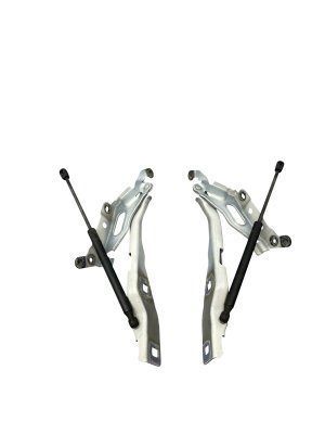 2015-2020 Ford F-150 Hood Hinge with Support Strut Set - Front, Right (Passenger) (Used OEM)