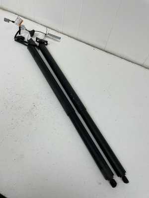 2021-2025 Ford Mustang Mach-E Power Tailgate Lift Support Strut Set - Rear (Used OEM)