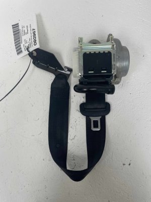 2018-2024 Audi S5 Seat Belt Assembly - Rear, Left (Driver) (Used OEM)