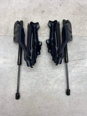 2019-2025 INFINITI QX50 Hood Hinge and Lift Cylinder Set - Right (Passenger) (Used OEM)