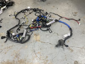 2023-2025 Genesis GV60 Main Body Chassis Floor Wiring Harness (Used OEM)