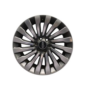 2018-2022 Lincoln Navigator 22x9.5 16-Spoke Machined Charcoal Alloy Wheel (Used OEM)