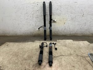  Tesla Model x Falcon Door Lift Cylinder Set - Rear (Used OEM)