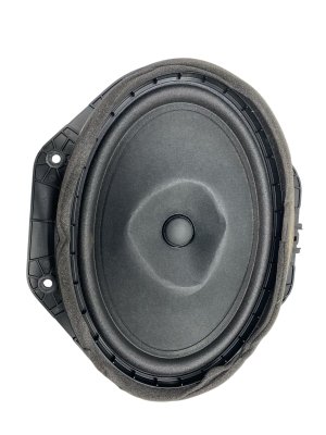 2021-2025 Ford F-150 Door Speaker - Front (Used OEM)