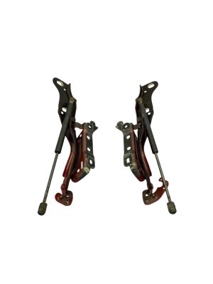 2021-2025 Ford F-150 Hood Hinge and Lift Support Strut Set - Front, Right (Passenger) (Used OEM)