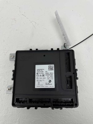 2022 Kia Carnival Body Control Module (Used OEM)