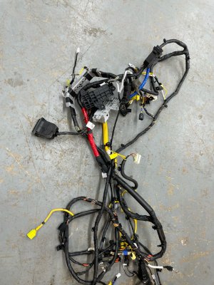 2024-2025 Hyundai Elantra Main Cabin Body Wiring Harness (Used OEM)