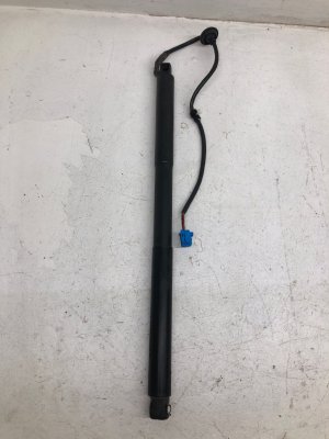 2012-2015 Mercedes-Benz ML350 Power Liftgate Lift Support - Rear (Used OEM)
