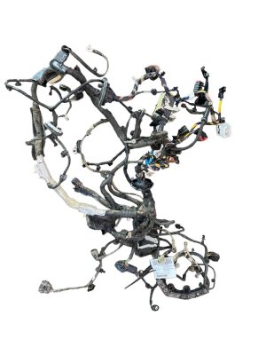 2021-2023 Ford Bronco Sport Engine Bay Wiring Harness (Used OEM)