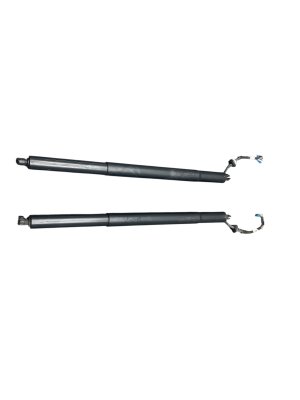2019-2025 BMW X7 Power Tailgate Liftgate Strut Assembly - Rear (Used OEM)