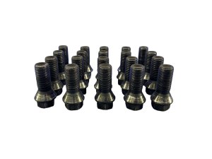 2011-2024 BMW 528i Wheel Lug Bolt Set (Used OEM)