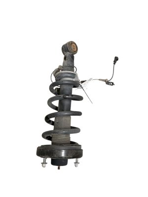 2018-2021 Lincoln Navigator Suspension Strut and Shock Assembly - Rear, Right (Passenger) (Used OEM)