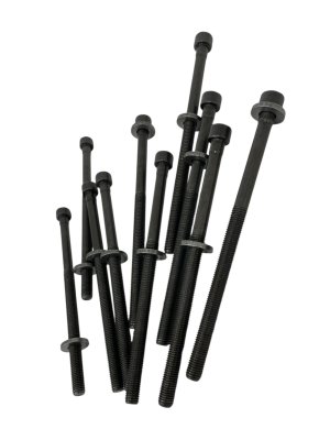 2018-2024 BMW X3 Engine Cylinder Head Bolt Set (Used OEM)