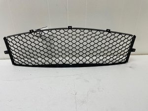 2017-2020 Maserati Quattroporte Lower Mesh Grille Guard (Used OEM)