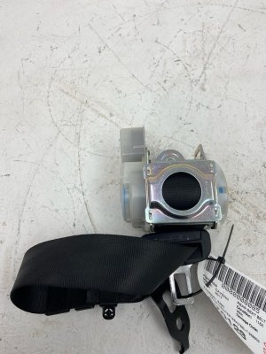 2011-2018 Porsche Cayenne Center Seat Belt Assembly - Rear, Left (Driver) (Used OEM)