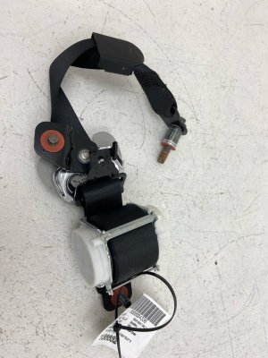 2020-2022 Kia Telluride 2nd Row Seat Belt Assembly - Rear, Right (Passenger) (Used OEM)