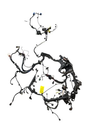2021-2024 Kia Sorento Engine Wiring Harness with Fuse Box (Used OEM)