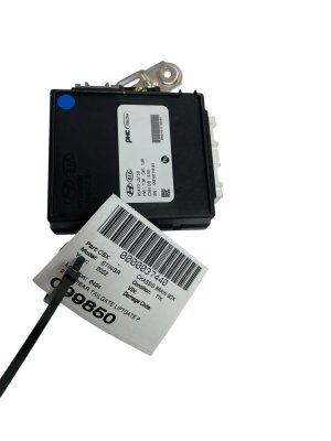 2021-2023 Kia Stinger Power Liftgate Control Module - Rear (Used OEM)