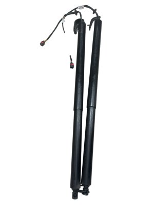 2019-2025 INFINITI QX50 Power Liftgate Support Strut Set (Used OEM)