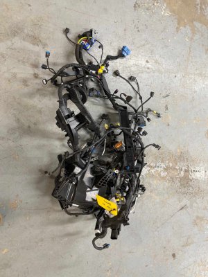 2024-2025 Hyundai Elantra Engine Wiring Harness with Fuse Box (Used OEM)