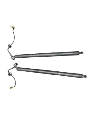 2018-2024 Lincoln Navigator Power Liftgate Strut Cylinder Set - Rear (Used OEM)
