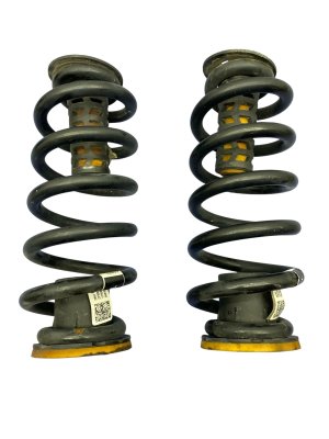 2025 Buick Enclave Coil Spring Set - Rear (Used OEM)