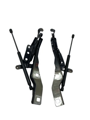 2017-2020 Ford F-150 Hood Hinge with Lift Cylinders - Right (Passenger) (Used OEM)