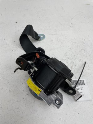 2015-2024 Lexus RC350 Seat Belt Assembly - Rear, Right (Passenger) (Used OEM)
