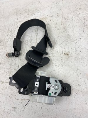 2020-2022 Kia Telluride Second Row Seat Belt Assembly - Rear, Right (Passenger) (Used OEM)