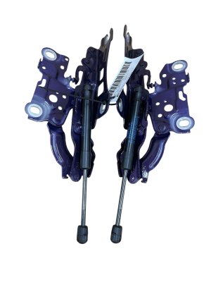 2021-2024 BMW M4 Hood Hinge Set with Strut Assembly - Front, Right (Passenger) (Used OEM)