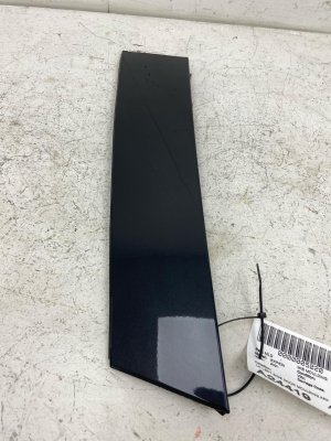 2018-2024 Ford Expedition Door Moulding Applique Trim Cover - Left (Driver) (Used OEM)