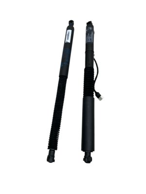 2020-2024 BMW X3 Power Liftgate Lift Support Strut - Rear (Used OEM)