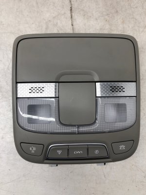 2020-2022 Kia Telluride Gray Roof Console Dome Light Panel - Front (Used OEM)