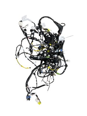 2019-2025 Lexus ES300h Main Body Chassis Floor Wiring Harness (Used OEM)