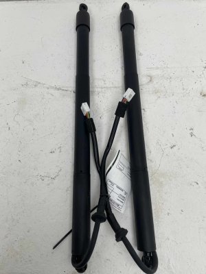 2023-2025 Toyota Prius Power Tailgate Lift Support Strut (Used OEM)