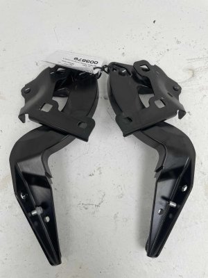 2022-2026 Lucid Air Trunk Liftgate Hinge Set (Used OEM)