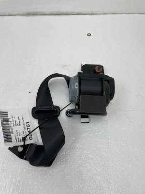 2024-2025 Hyundai Elantra Seat Belt Assembly - Rear (Used OEM)