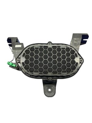 2022-2024 Ford F-150 Lightning Bang & Olufsen Subwoofer Speaker Box (Used OEM)