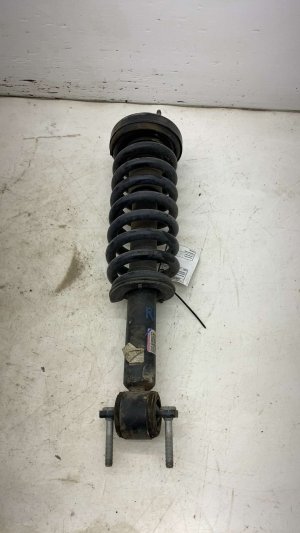2021-2025 Ford F-150 Suspension Strut Assembly - Front, Right (Passenger) (Used OEM)