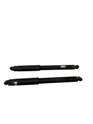 2021-2025 Ford F-150 Suspension Shock Absorber Pair - Rear (Used OEM)