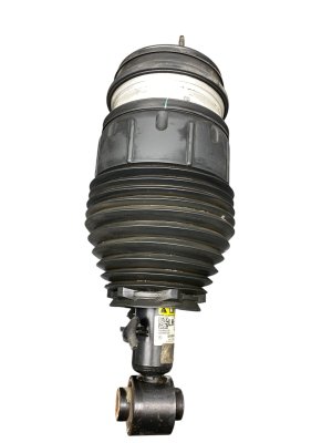 2014-2021 BMW i3 Air Ride Suspension Strut Assembly - Rear, Left (Driver) (Used OEM)