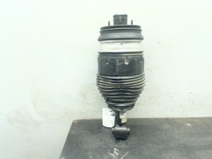 2014-2021 BMW i3 Air Ride Suspension Strut Assembly - Rear, Left (Driver) (Used OEM)