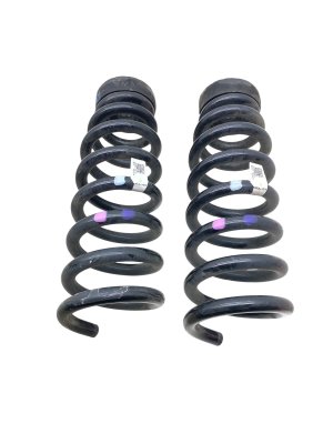 2022-2024 Kia EV6 Coil Spring Set - Rear (Used OEM)