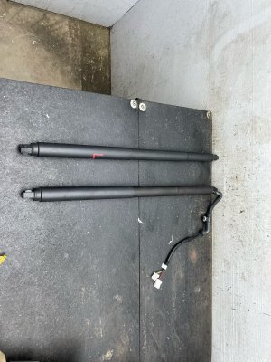 2019-2026 Honda Passport Power Tailgate Lift Motor Strut Set (Used OEM)