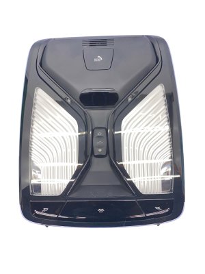 2018-2024 BMW X3 Roof Overhead Dome Light Console with Sunroof - Front (Used OEM)