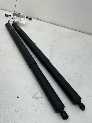 2025-2026 Volkswagen Tiguan Power Liftgate Hatch Support Strut Set (Used OEM)